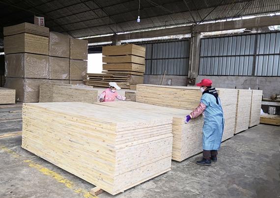 图为脱贫户在木材加工厂帮扶车间工作  西林县人力资源和社会保障局供